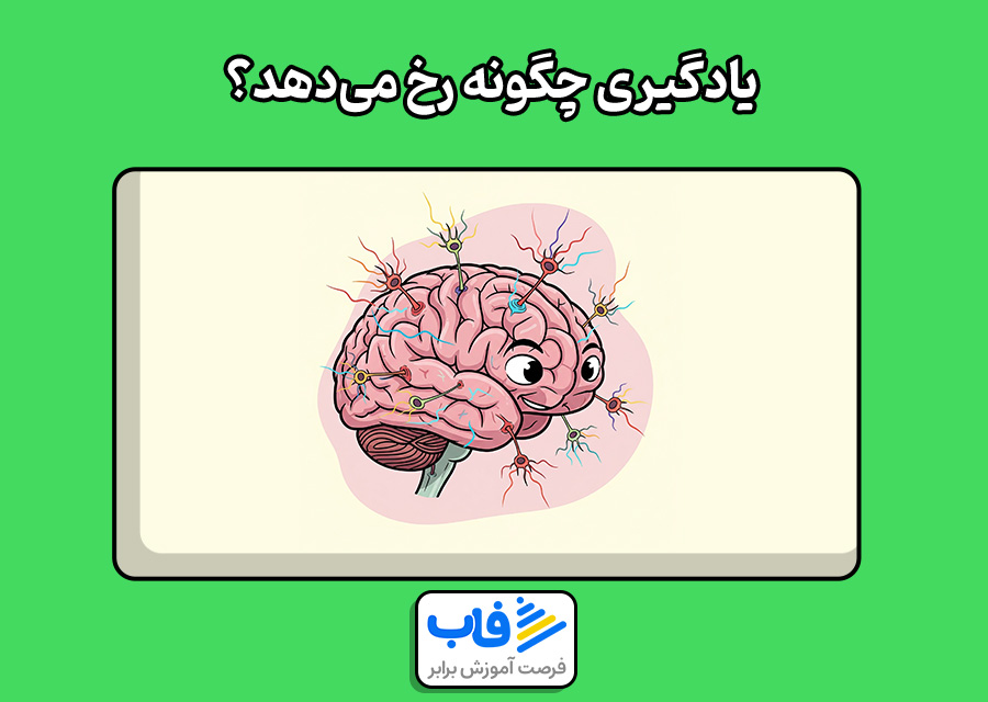 یادگیری چگونه رخ میدهد؟