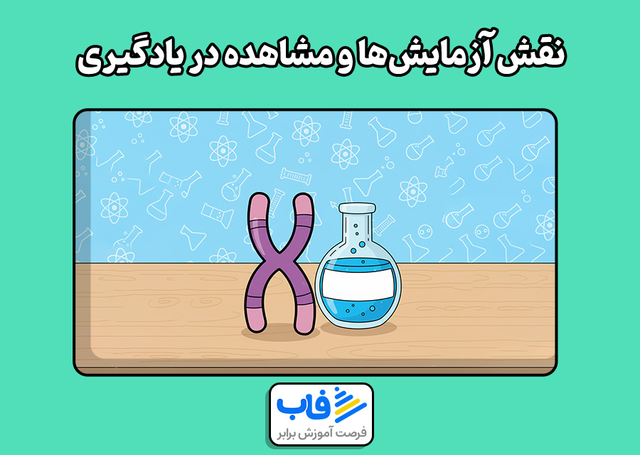 نقش آزمایشها و مشاهده در یادگیری