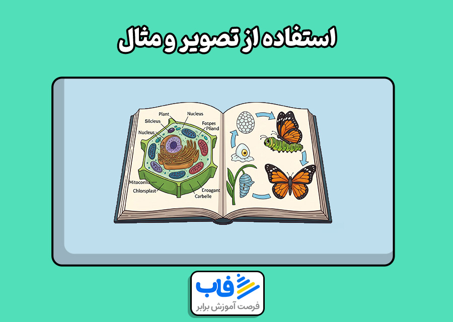 استفاده از تصویر و مثال