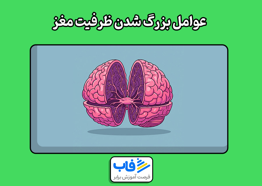 چه عواملی باعث بزرگ شدن ظرفیت مغز میشه؟